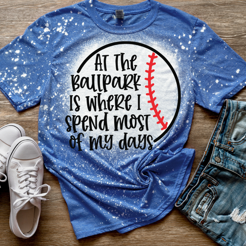 At the Ballpark